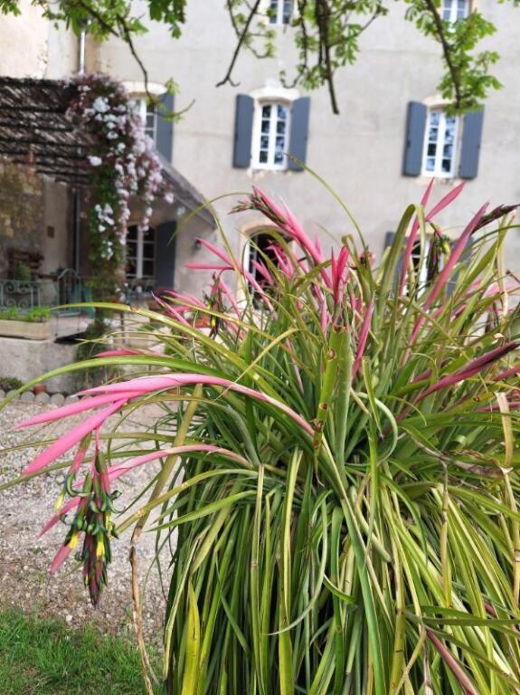 Domaine De Capoulade Bed & Breakfast Narbonne Exterior photo