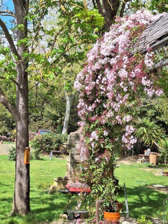 Domaine De Capoulade Bed & Breakfast Narbonne Exterior photo